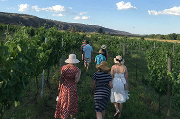 Lake George Winery